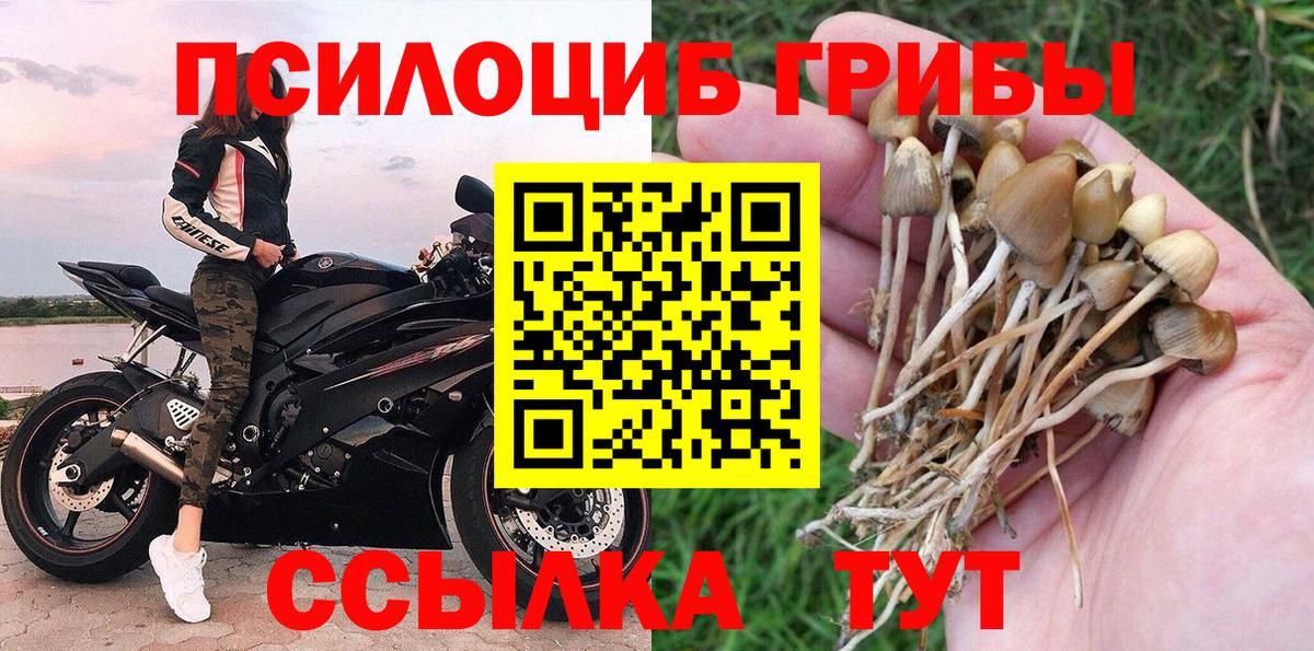 где купить наркоту  Псилоцибиновые грибы MAGIC MUSHROOMS  Вход с VPN  Жигулёвск  Галлюциногенные грибы MAGIC MUSHROOMS 